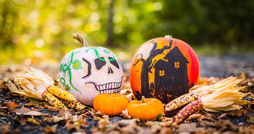 16 Ways to Celebrate Halloween in Ann Arbor This Year